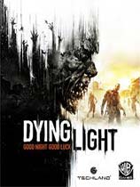 《消逝的光芒 Dying Light》中文白金版