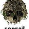 The Forest 森林修改器 +12 一修大师版