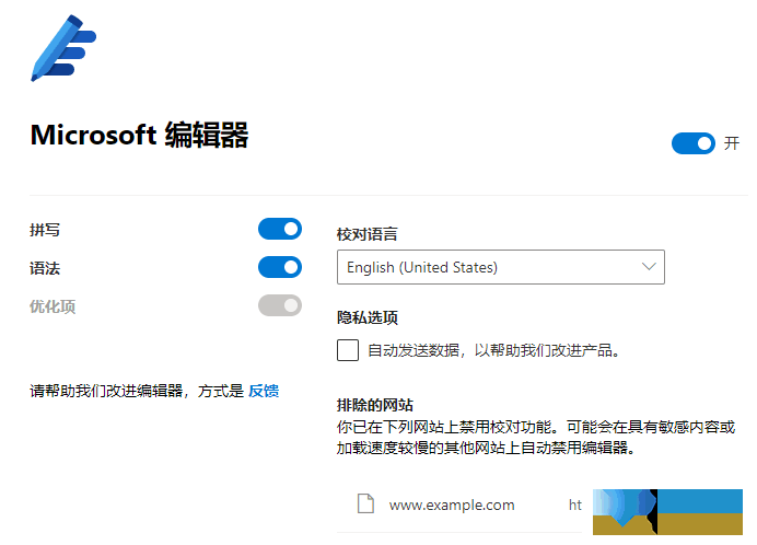 Microsoft编辑器界面