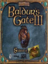 《博德之门3 Baldur Gate 3》中文测试版