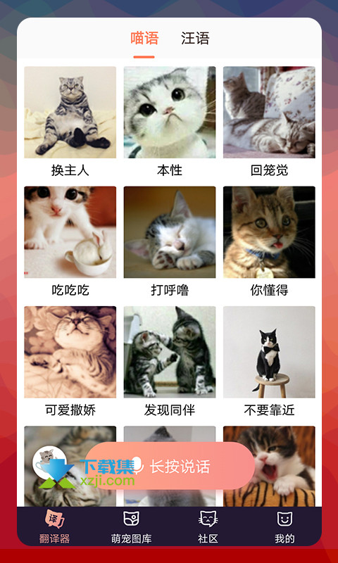 猫语翻译器 2