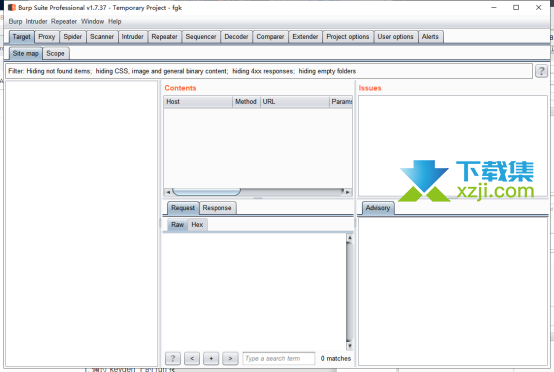 Burp Suite Professional界面