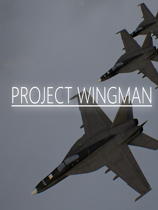 僚机计划CE修改器下载-Project Wingman修改器v1.0免费版