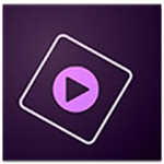 Adobe Premiere Elements(视频编辑软件) 2025.25.2