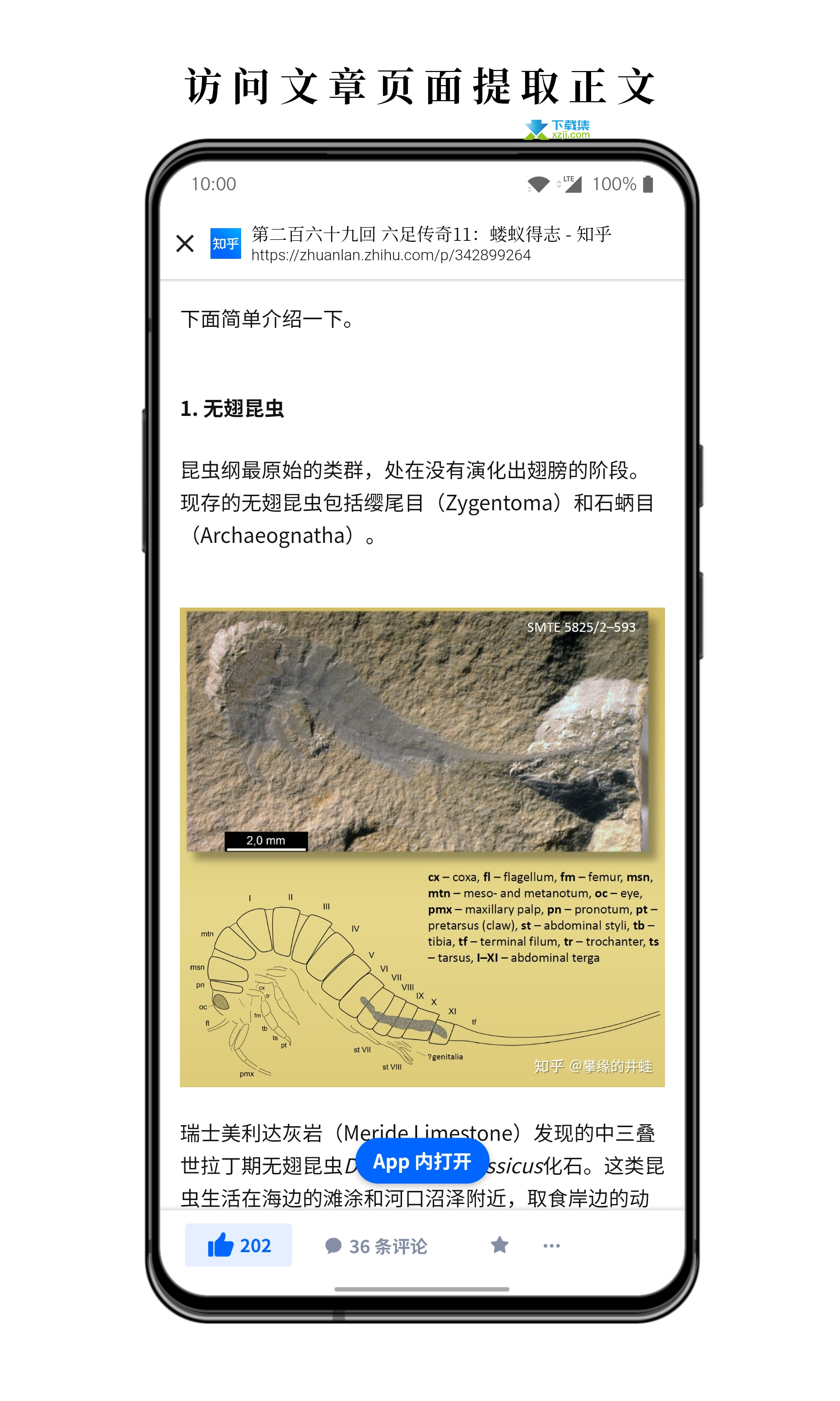 慢读界面2