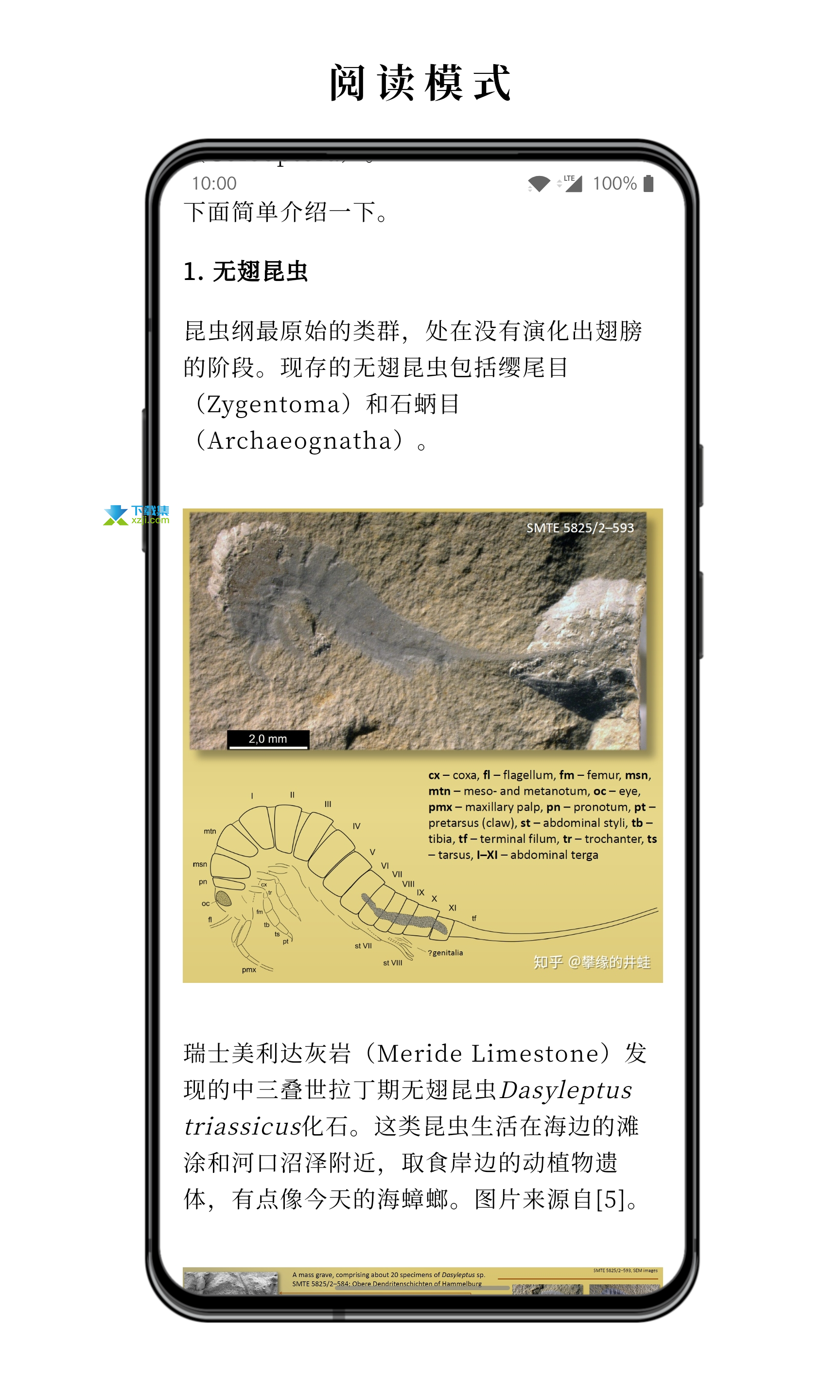 慢读界面3