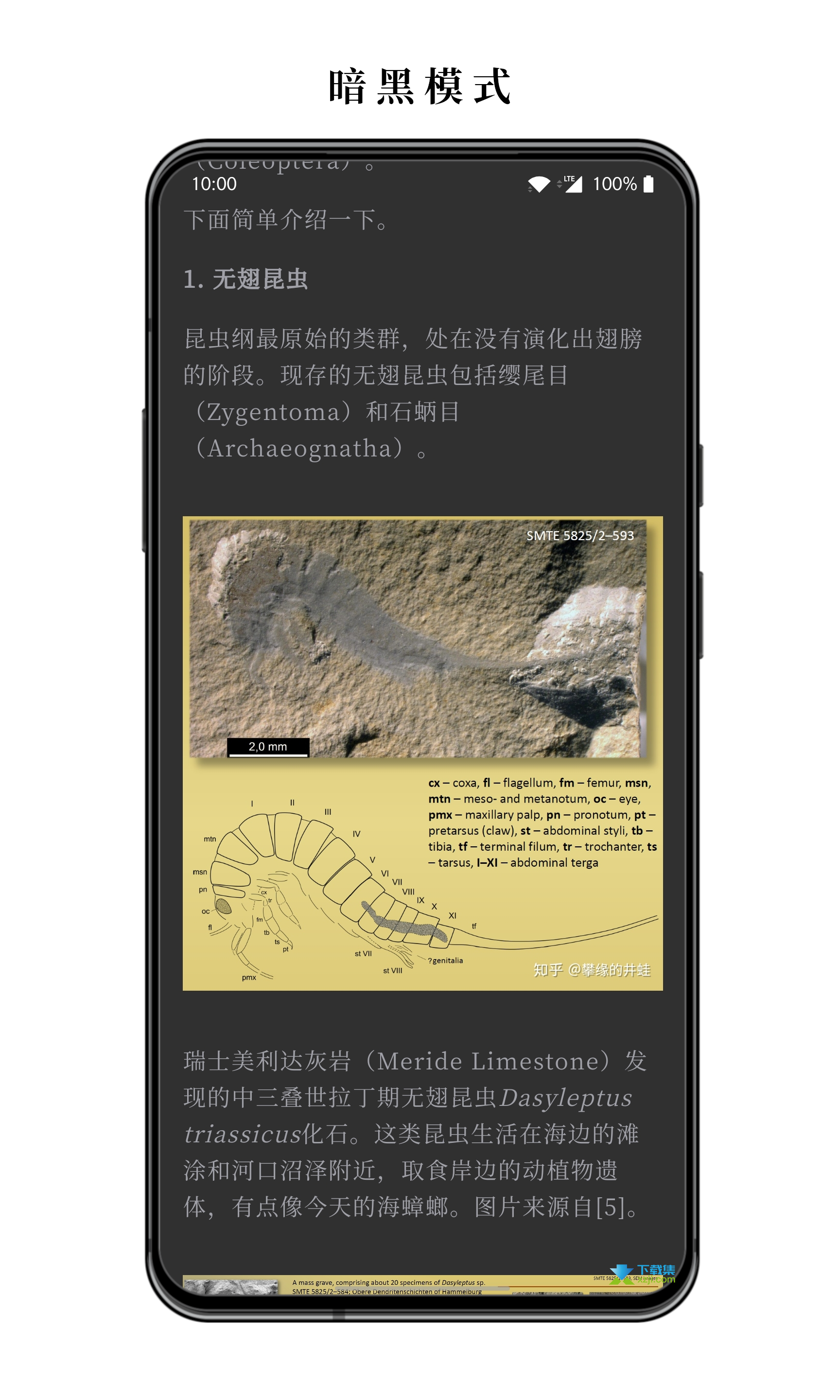 慢读界面7