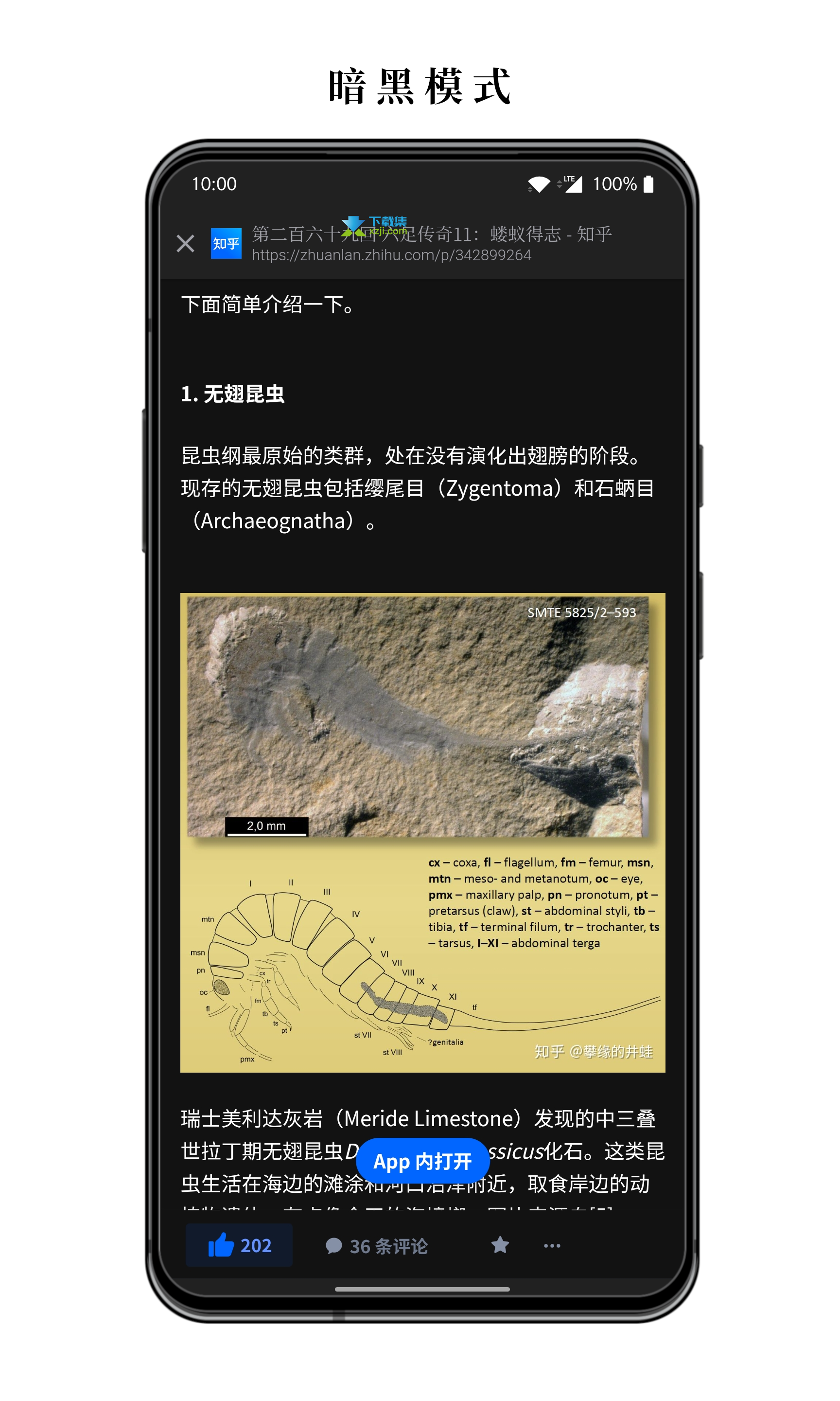 慢读界面8