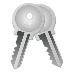 Wise Windows Key Finder(密钥/激活码查询)v1.0.112免费版