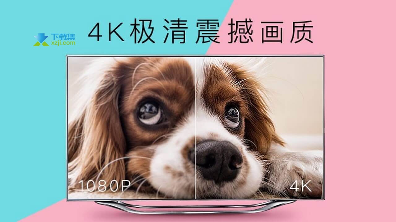 CIBN4K花园界面