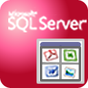 SqlLobEditor(SQL数据库编辑工具)v3.8.2 中文免费版