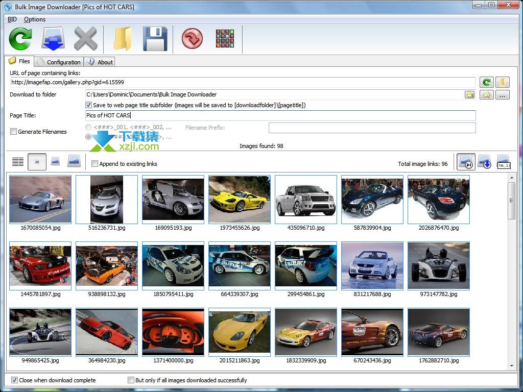 Bulk Image Downloader界面