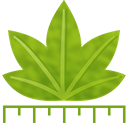 Digimizer(图像测量软件) 6.4.3