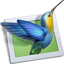 WnSoft PTE AV Studio Pro(幻灯片制作) 11.0.17.2
