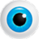 Hetman Internet Spy(网络浏览监控) 3.9