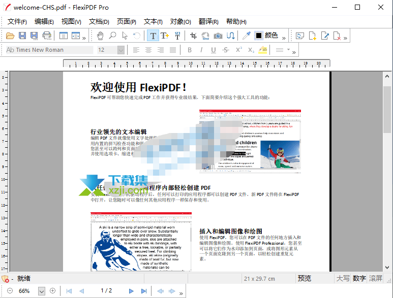 FlexiPDF Pro(PDF编辑器) 2022.310.0415截图（1）
