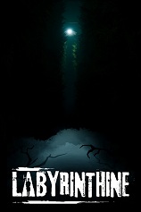 迷宫探险下载-《迷宫探险 Labyrinthine》中文版