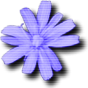 Cloanto C64 Forever(C64模拟仿真软件) 10.4.3