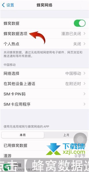 iPhone12手机怎么开启5G蜂窝数据网络