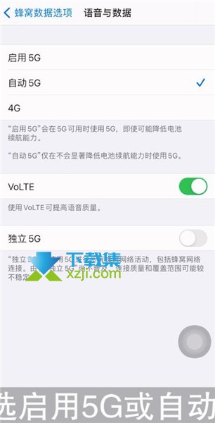 iPhone12手机怎么开启5G蜂窝数据网络