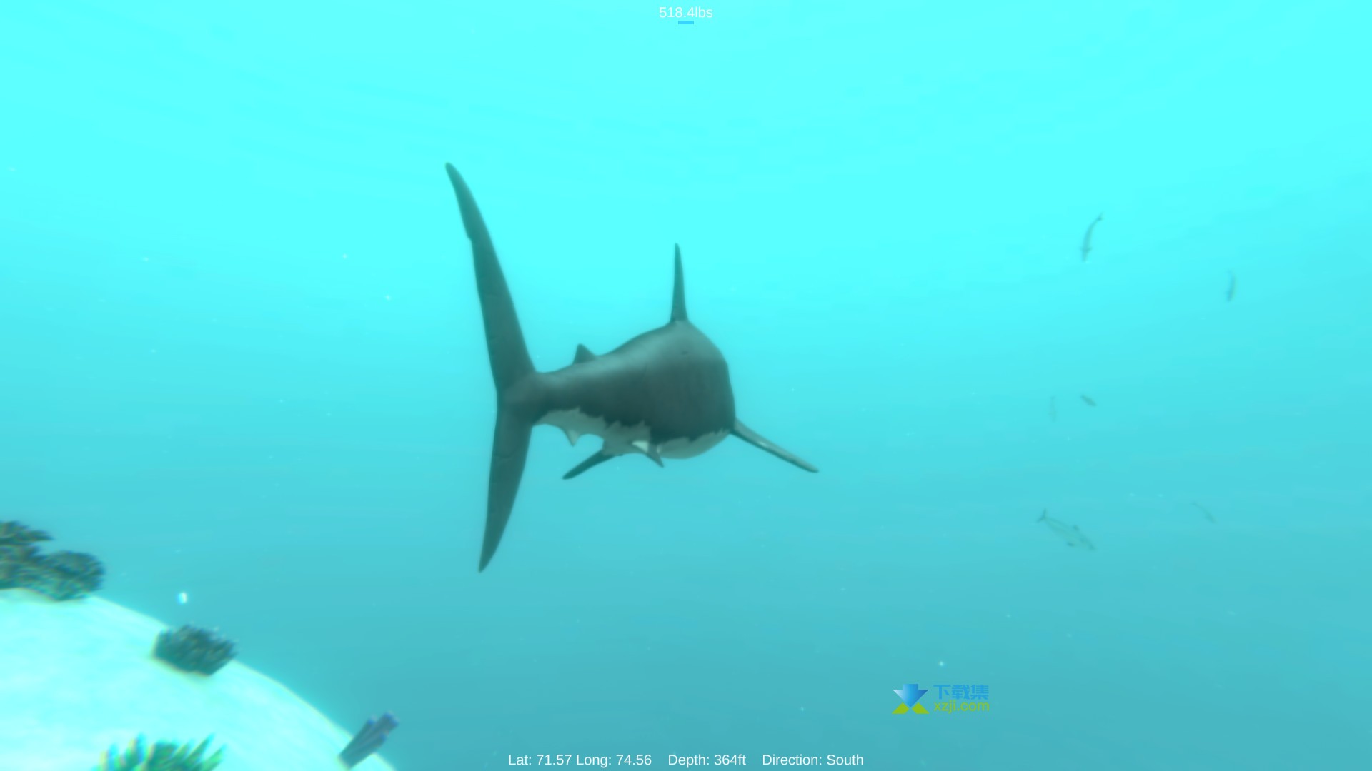 阿尔法鲨界面3