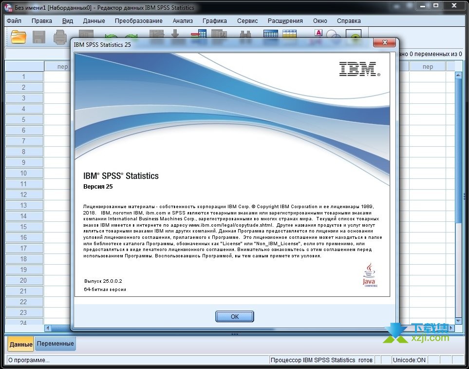IBM SPSS Statistics界面