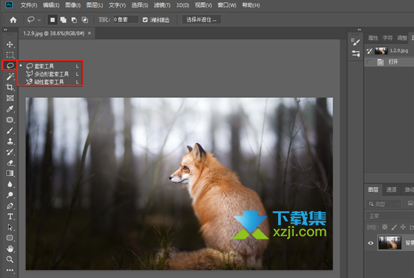 怎么使用PhotoShop套索工具抠图后移动到其他位置