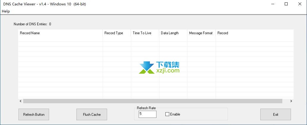 DNS Cache Viewer界面