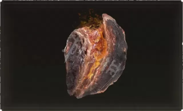 《艾尔登法环》游戏中肝脏类道具有哪些 肝脏类道具作用