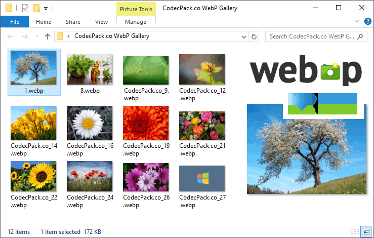 WebP Codec界面