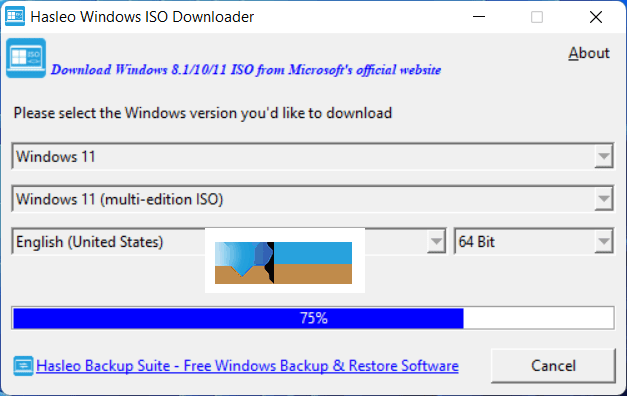 Hasleo Windows ISO Downloader界面