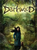阴暗森林修改器下载-Darkwood修改器 +5 免费版