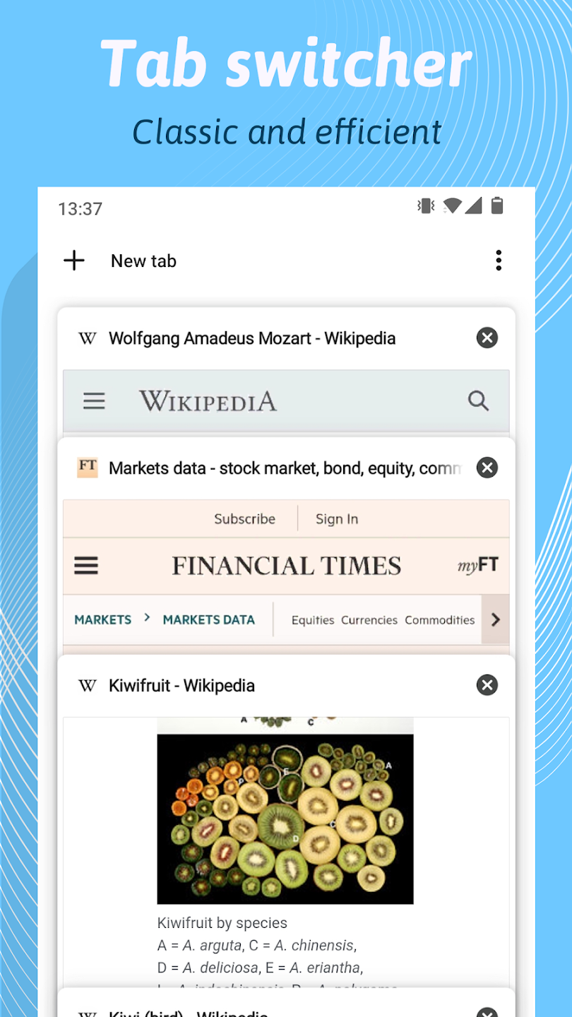 Kiwi Browser界面1