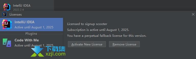 IntelliJ IDEA 2022图文激活方法及无法激活解决方法