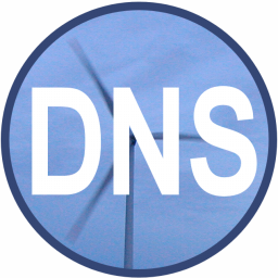Simple DNS Plus(DNS服务器搭建工具)v9.1免费版