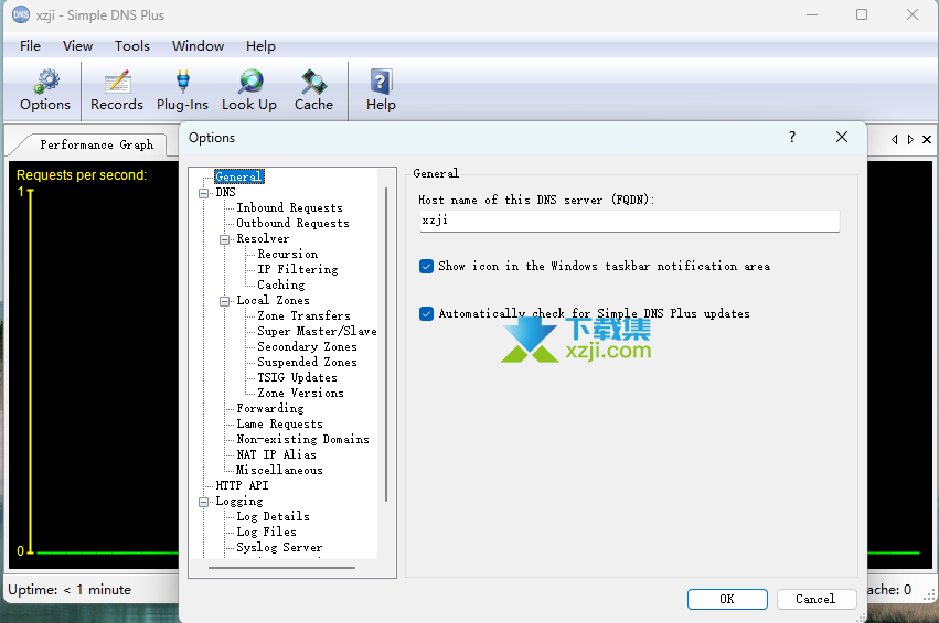 Simple DNS Plus界面