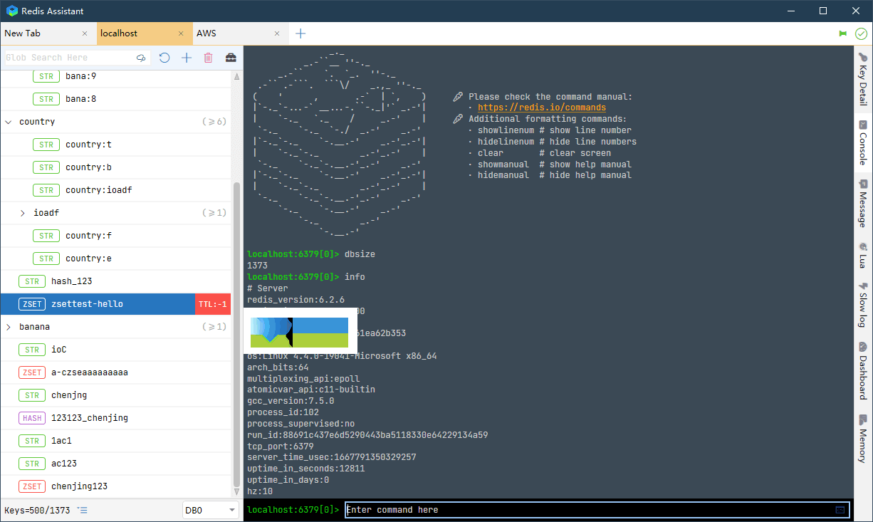 Redis Assistant界面3