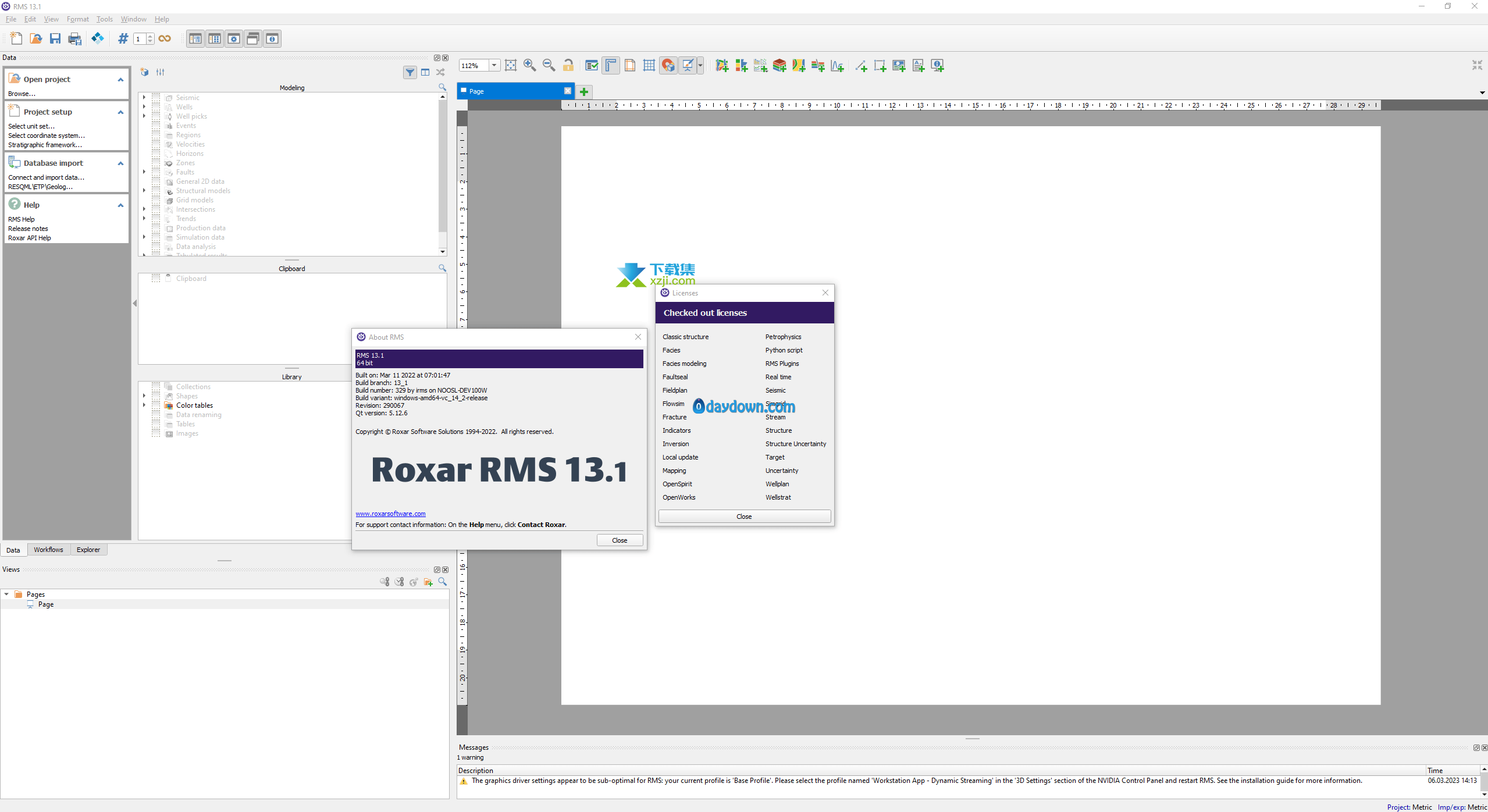 Roxar RMS界面