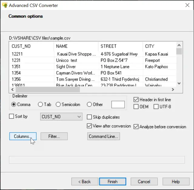 Advanced CSV Converter界面1