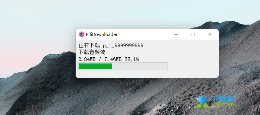 BiliDownloader界面2