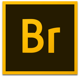 Adobe Bridge(图像管理工具)v2020骨头版