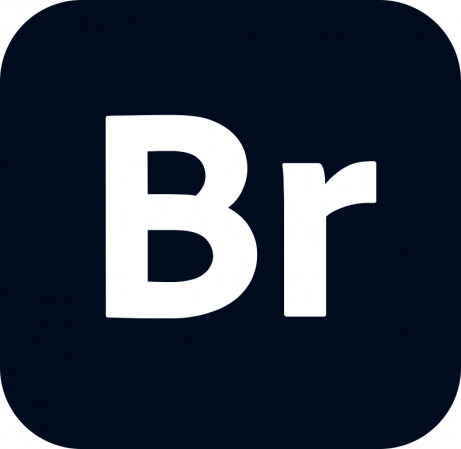 Adobe Bridge(图像管理软件) 2025.25.0.4