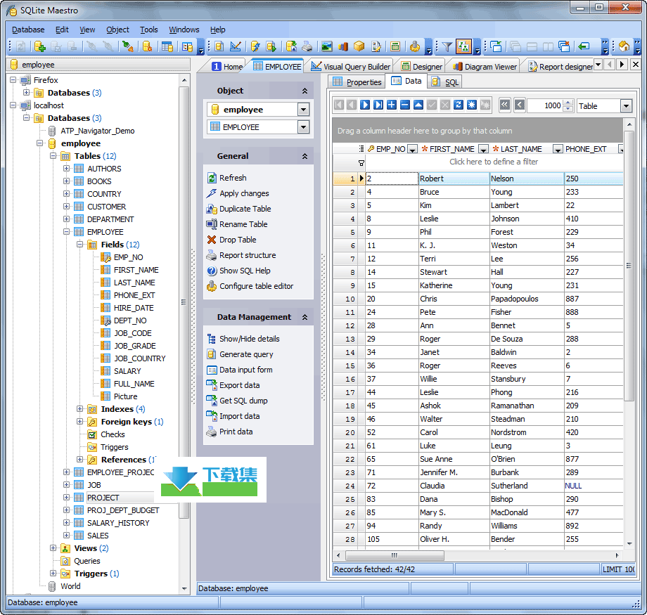 SQLite Maestro Pro界面