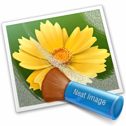 Neat Image Pro(图像降噪软件)v8.3.5免费版
