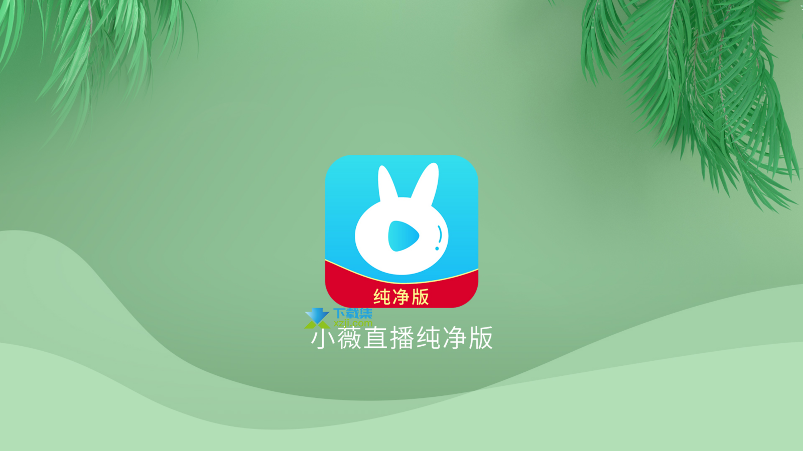 小薇直播APP界面