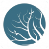 Lumion Pro(三维渲染软件) 2024.4.2