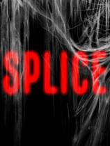 拼接修改器下载-Splice修改器 +2 免费版