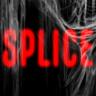拼接修改器下载-Splice修改器 +2 免费版