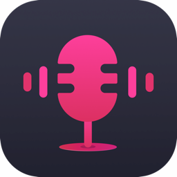 ViWizard Audio Capture(音频录音工具)v2.5免费版