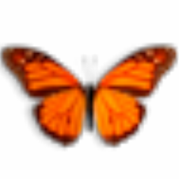 桌面蝴蝶下载-桌面蝴蝶(Butterfly On Desktop)v1.0汉化版